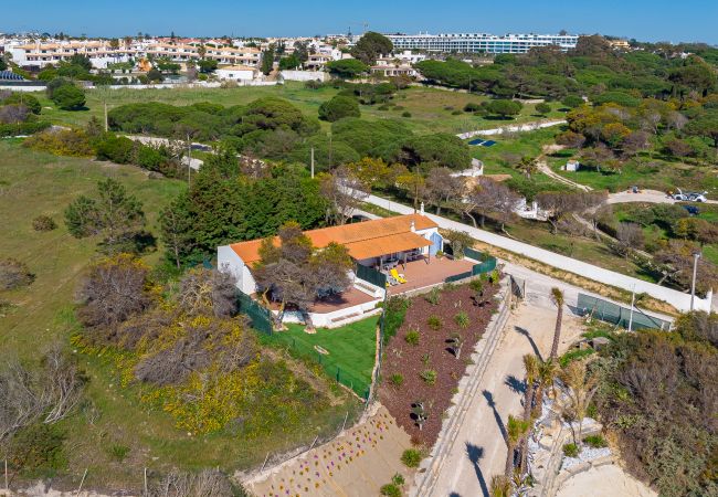 Studio in Albufeira - Villa Petit Mimao Studio in Albufeira - Villa Petit Mimao