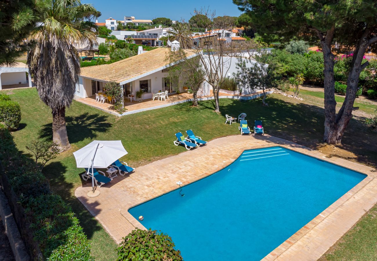 Villa in Albufeira - Villa Bolota