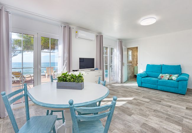 Estúdio em Albufeira - Villa Petit Mimao Estúdio em Albufeira - Villa Petit Mimao