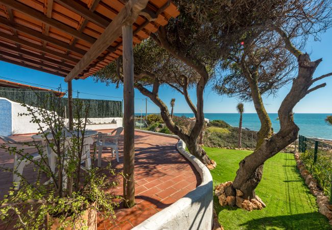 Estúdio em Albufeira - Villa Petit Mimao Estúdio em Albufeira - Villa Petit Mimao