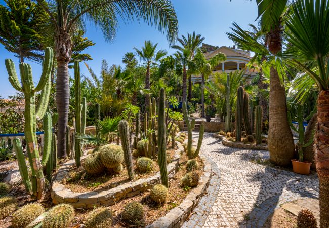 Villa in Albufeira - Villa Casa do Monte Villa in Albufeira - Villa Casa do Monte