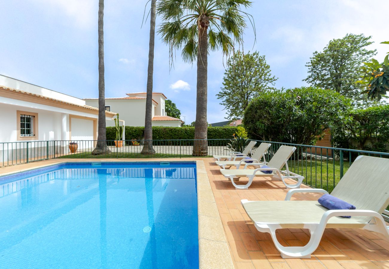 Villa in Albufeira - Villa Nox